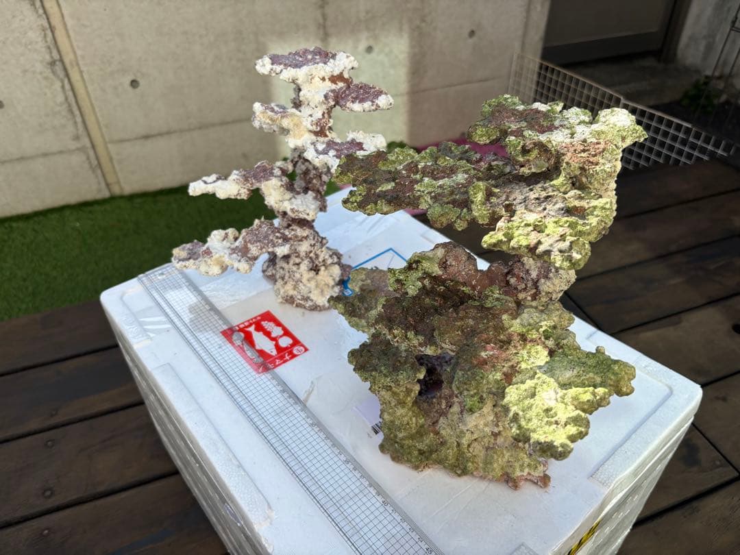 ライブロック 2点セット JSコーラル