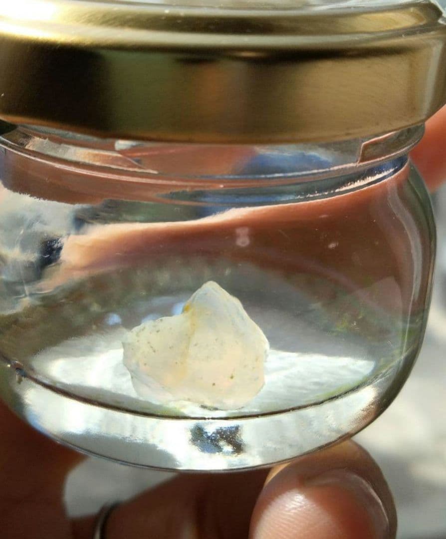 国産オパール　原石　国産　鉱物　国産鉱物　オパール　原石　美しいオパール99