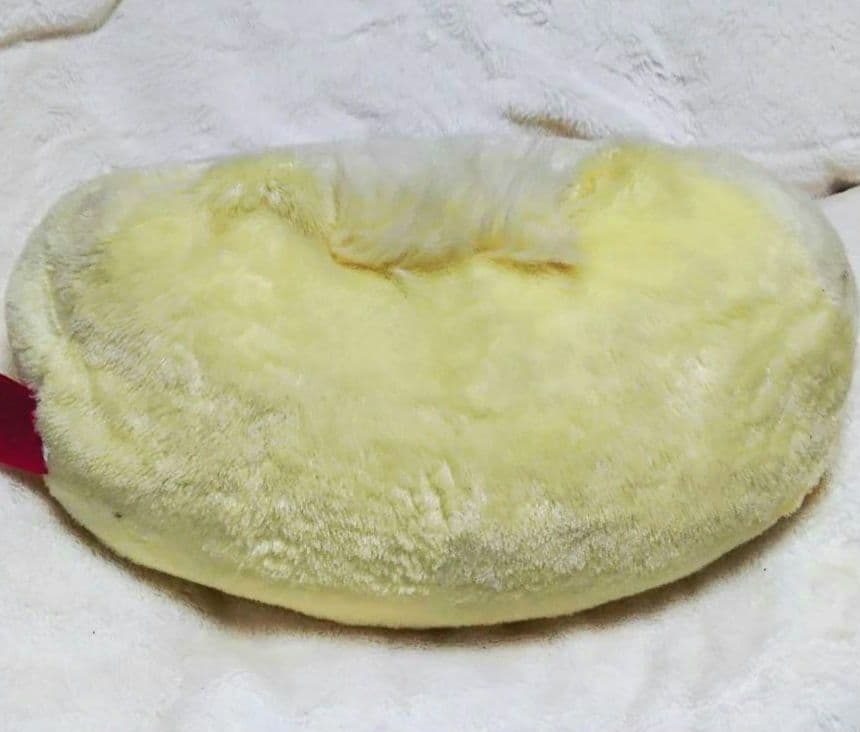 ひだまりさん　激レア　ぬいぐるみ　7周年　カピバラさん　入手困難　レトロ　廃盤