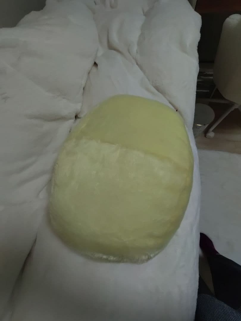 ひだまりさん　激レア　ぬいぐるみ　7周年　カピバラさん　入手困難　レトロ　廃盤