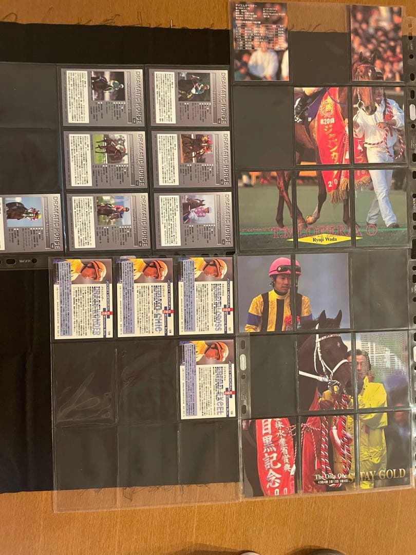 競馬トレーディングカード サラブレッド 2001年