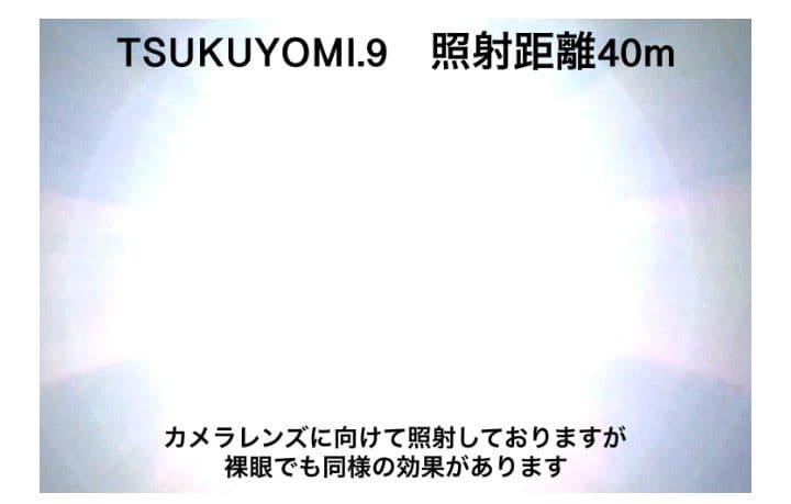 田村装備受注生産品 RAYGEARS-TSUKUYOMI.9（VR.3）