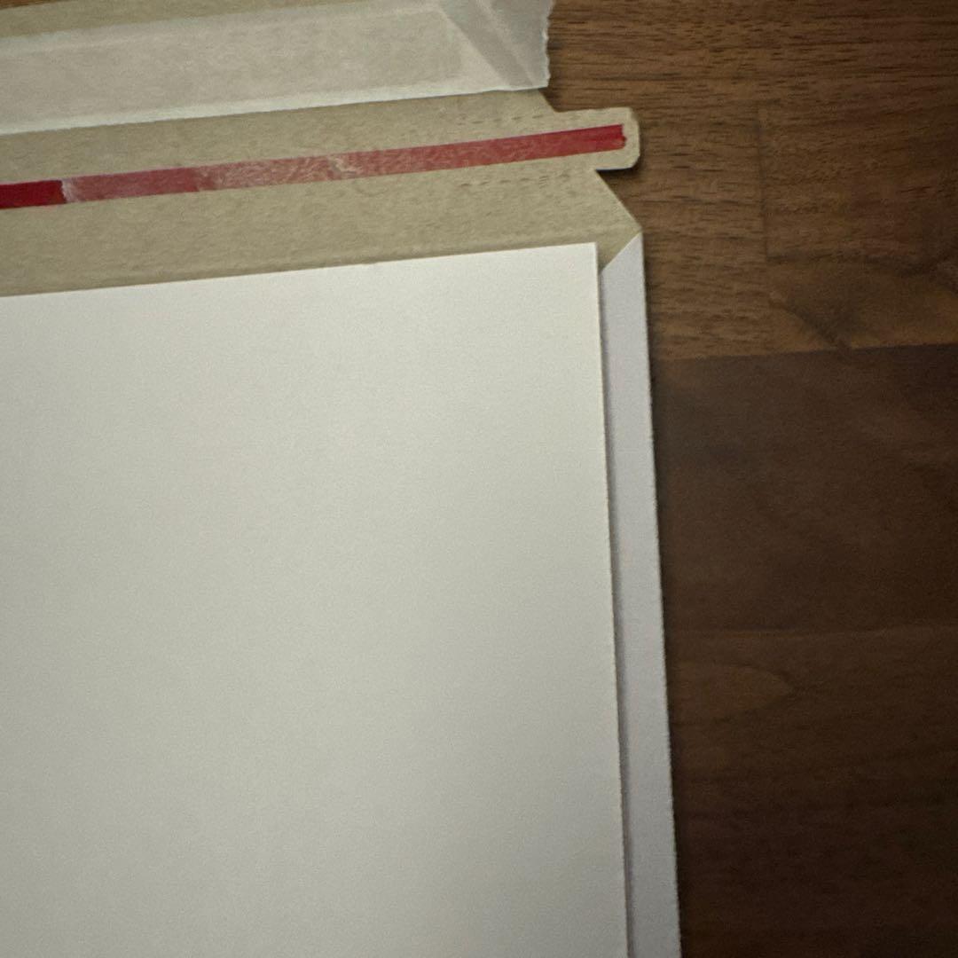 SWCJ 公式浮世絵ポスター ソル カイミール【新品、未使用】