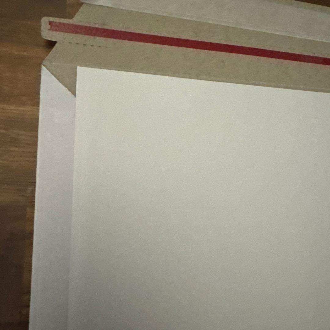 SWCJ 公式浮世絵ポスター ソル カイミール【新品、未使用】