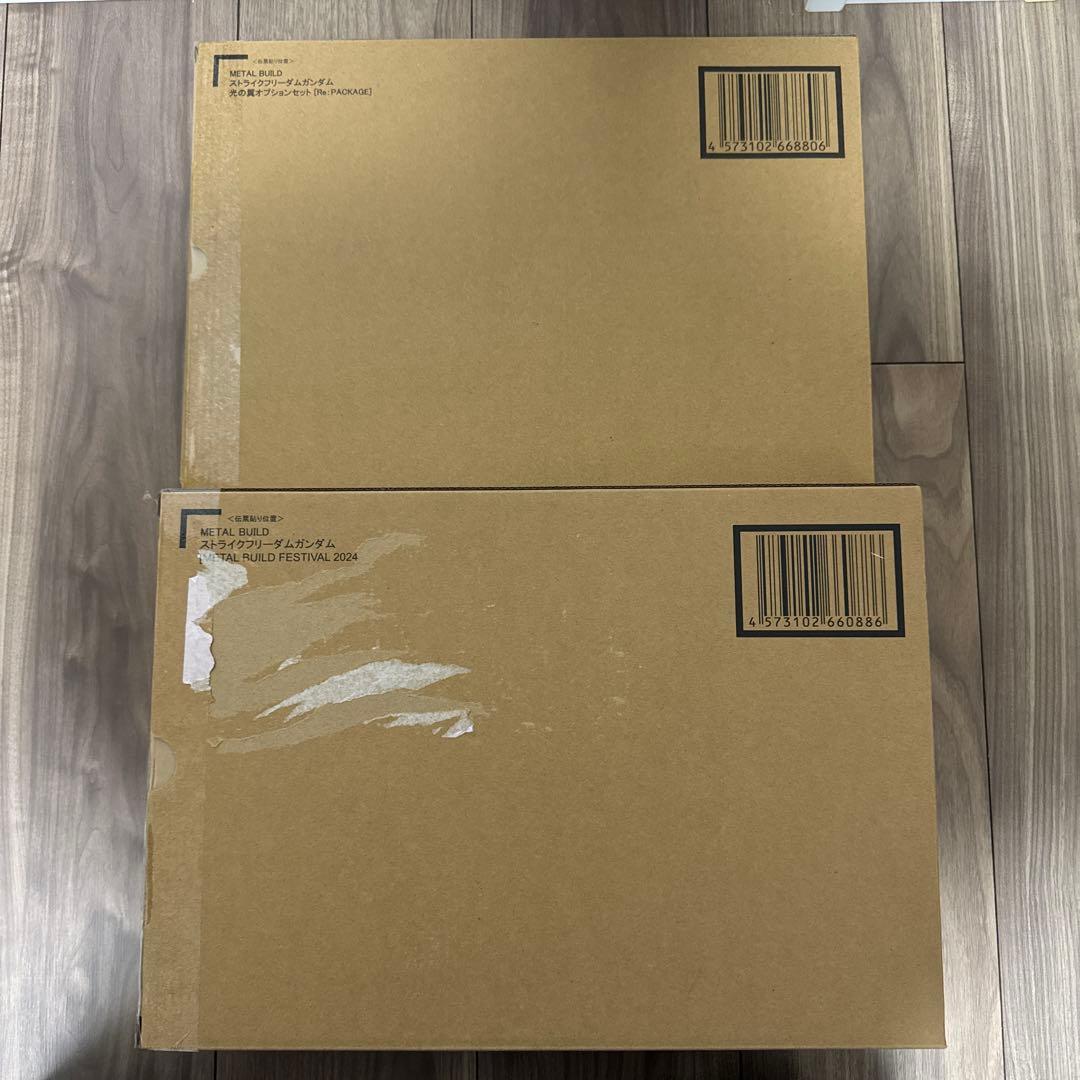 メタルビルドストライクフリーダム＆光の翼オプションセット