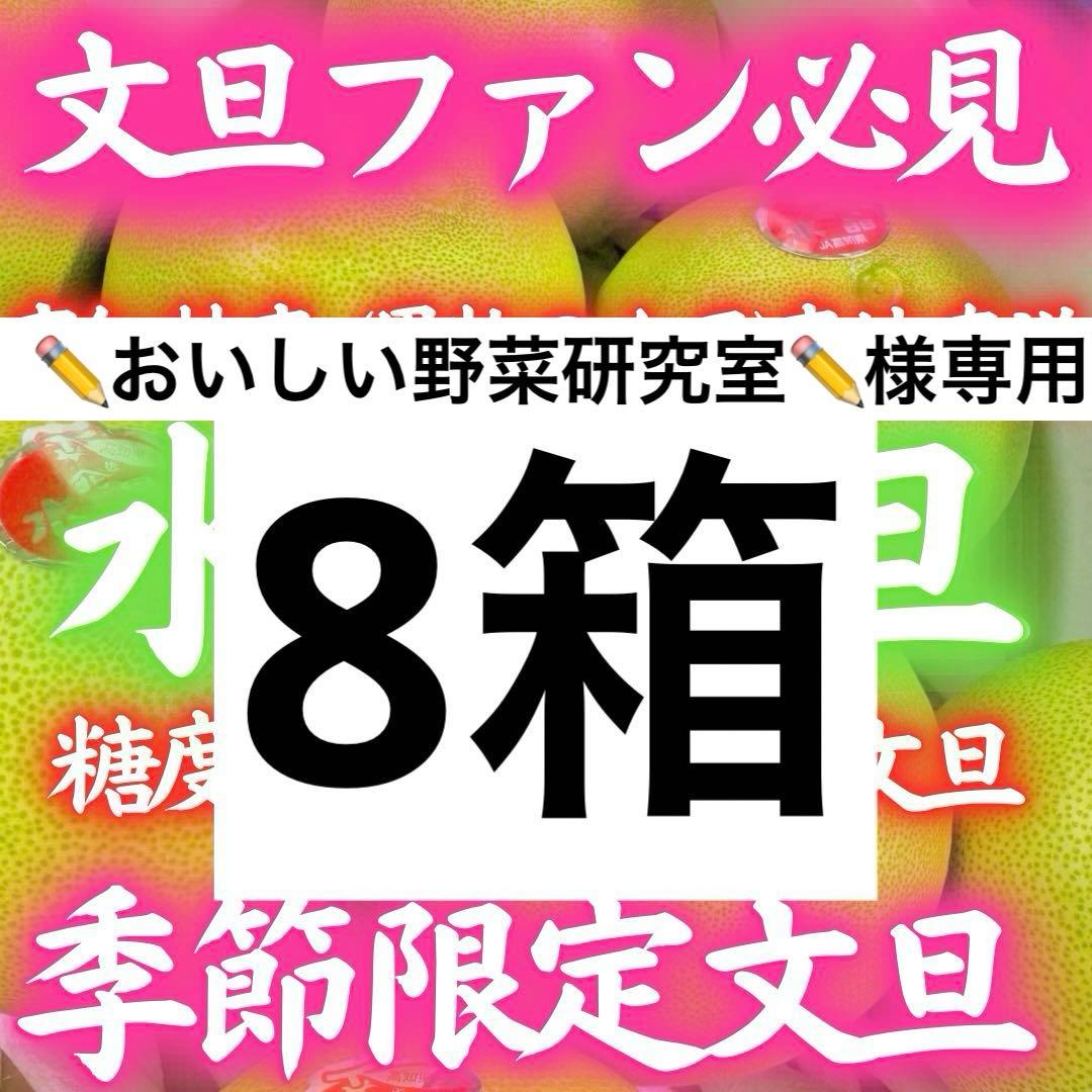 62高知特産 水晶文旦 8～6玉入 約3kg ×8箱 文旦 産地直送 送料無料
