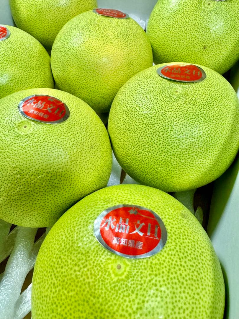 62高知特産 水晶文旦 8～6玉入 約3kg ×8箱 文旦 産地直送 送料無料