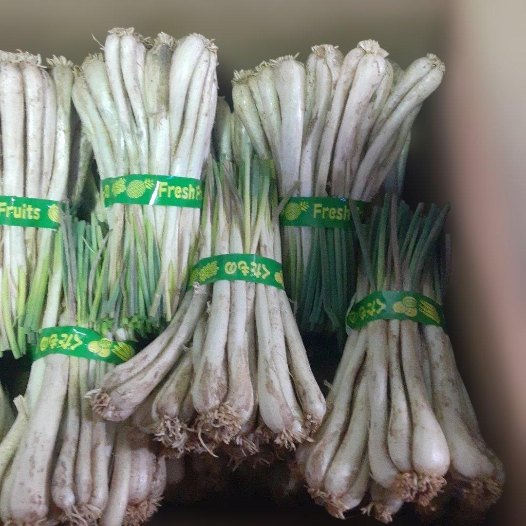 沖縄県産♪島らっきょう10㎏②