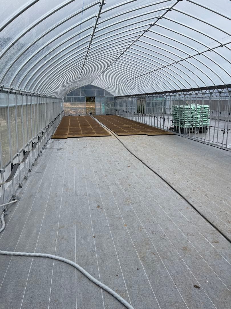 ♡最終♡令和7年千葉県いすみ市産コシヒカリ 25kg白米　無洗米　天皇献上米