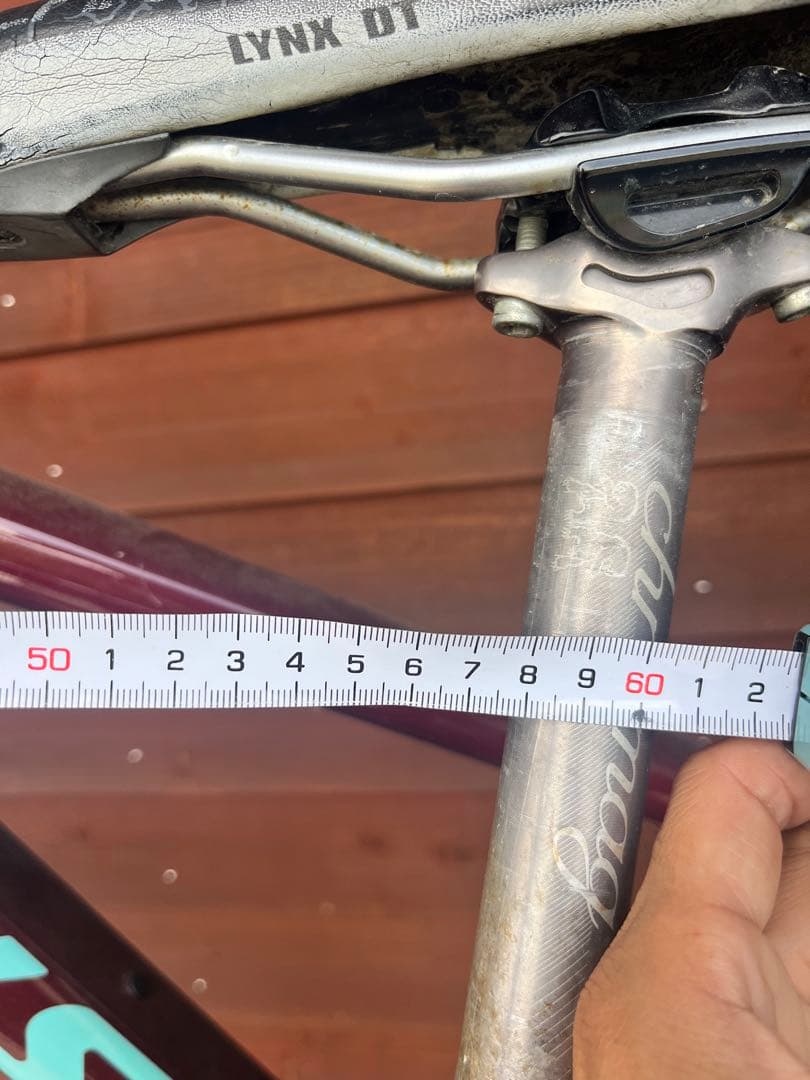 マウンテンバイク　＜B ant＞Undefined 33rpm ビーアント