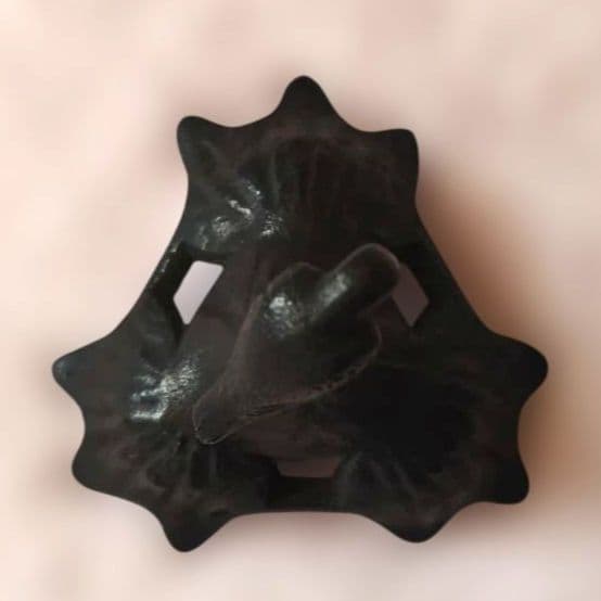 ✨レア✨【美品】岩鋳　一富士二鷹三茄子　南部鉄器　秀作？　一度使用