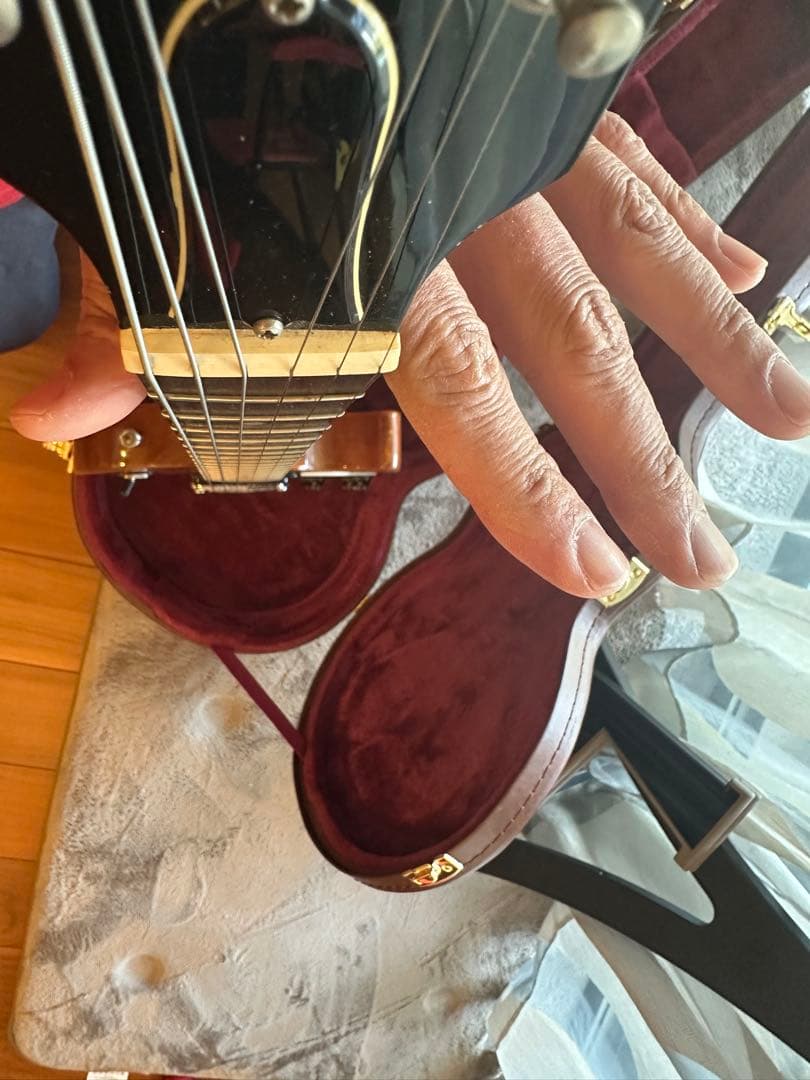 Gibson Les Paul Special P100 ハードケース