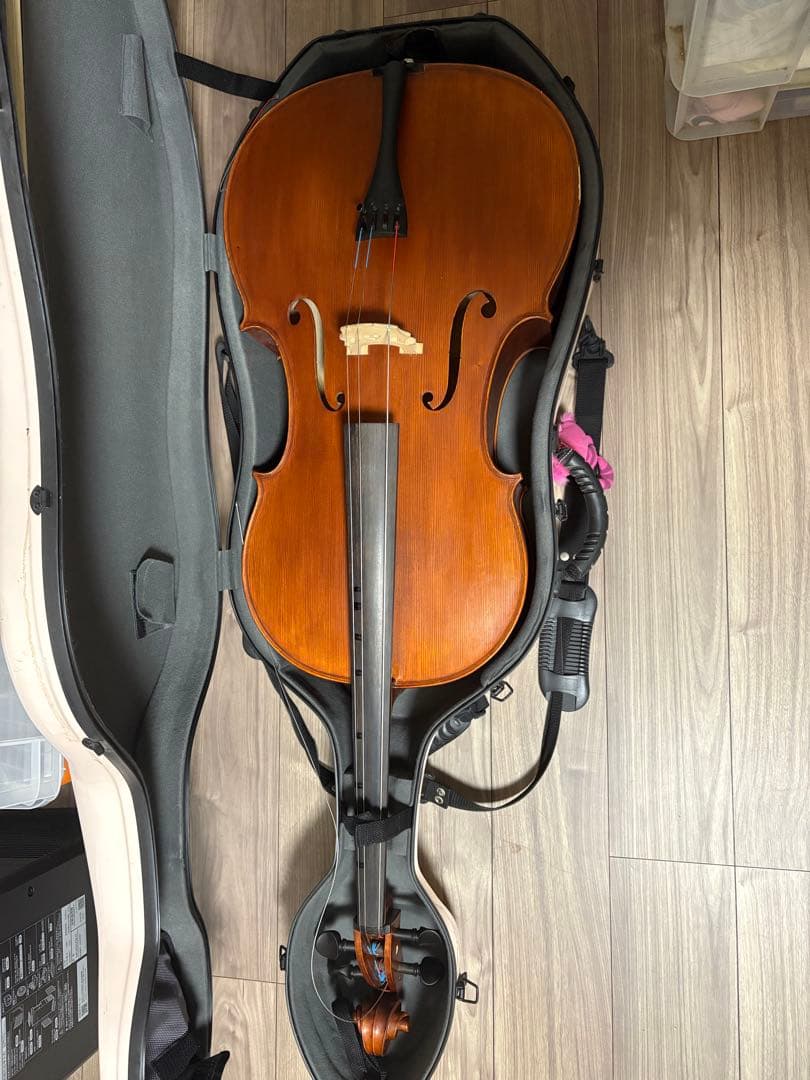 Gliga gems チェロ　4/4 2012年製 、ケース・弓・ブラックホール