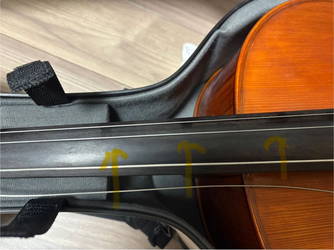 Gliga gems チェロ　4/4 2012年製 、ケース・弓・ブラックホール