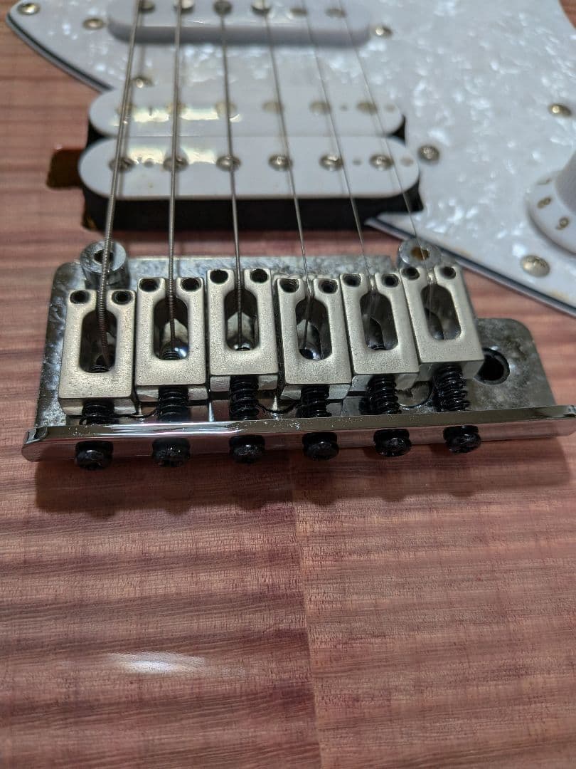 Aria Pro II 714-AE200ssPVギター ソフトケース付き