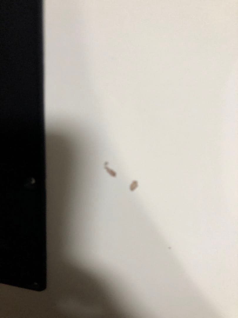 SQUIER スクワイアー　ギター　1H ストラトキャスター　ワンハム