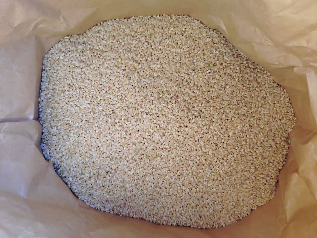 令和7年 玄米 30キロ