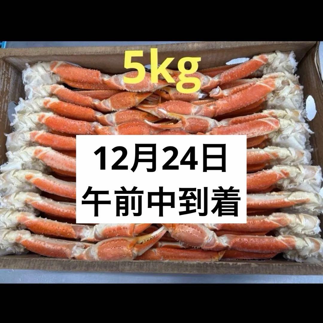 よーこ 12月24日 午前中到着希望