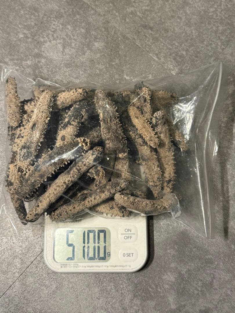 乾燥　沖なまこ　ナマコ　500g A品