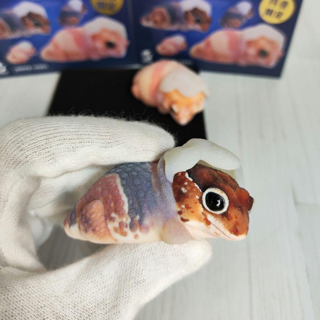 【動物の惑星】88体限定★ニシアフリカトカゲモドキ（脱皮版）2体!! フィギュア