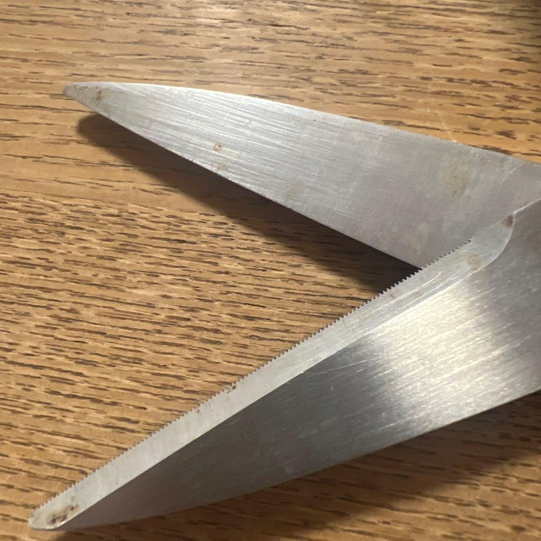 BUCK ステンレススチール はさみ レザーケース付き