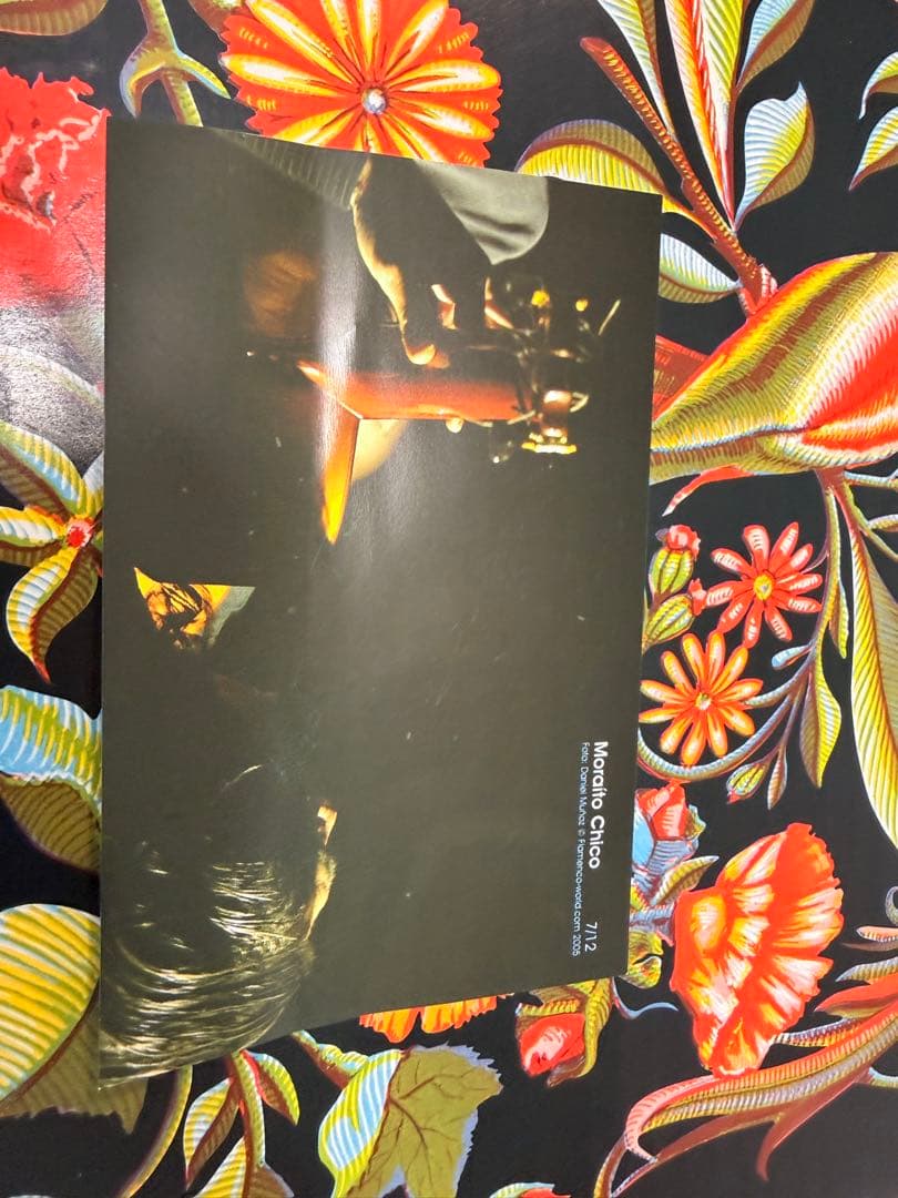 本場スペイン製 フラメンコ用 マントン・デ・マニラ（シルク100%・総刺繍）