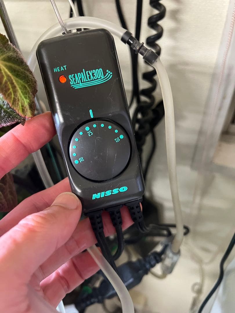 ADA 水草水槽 60cm RGBライト、CO2システム付き！オプション多数⭐︎