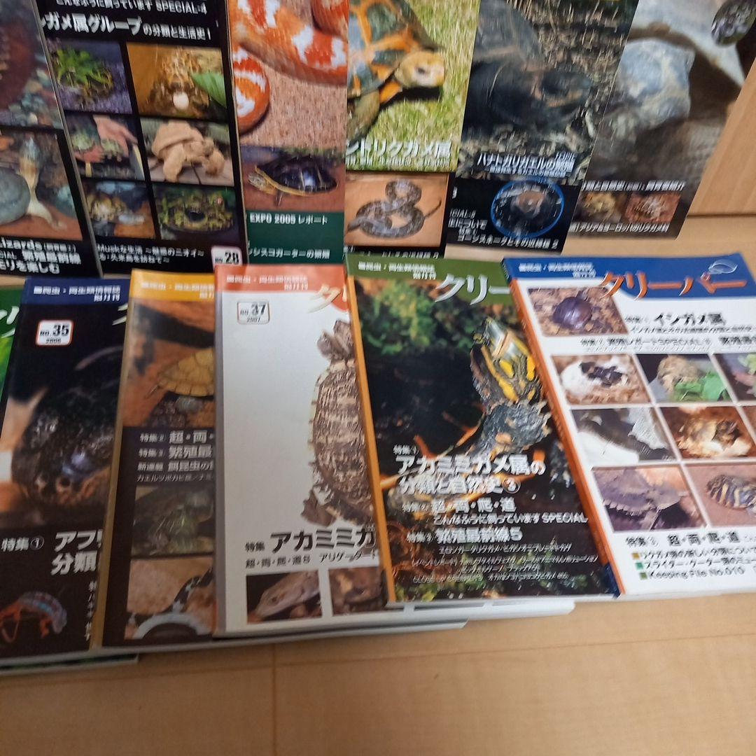 エクストラ・クリーパー　Ｎｏ．1 ナガクビガメ　 クリーパー　15冊セット