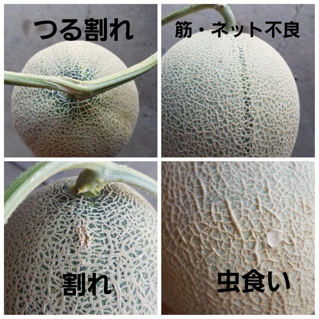 まめ　メロン①
