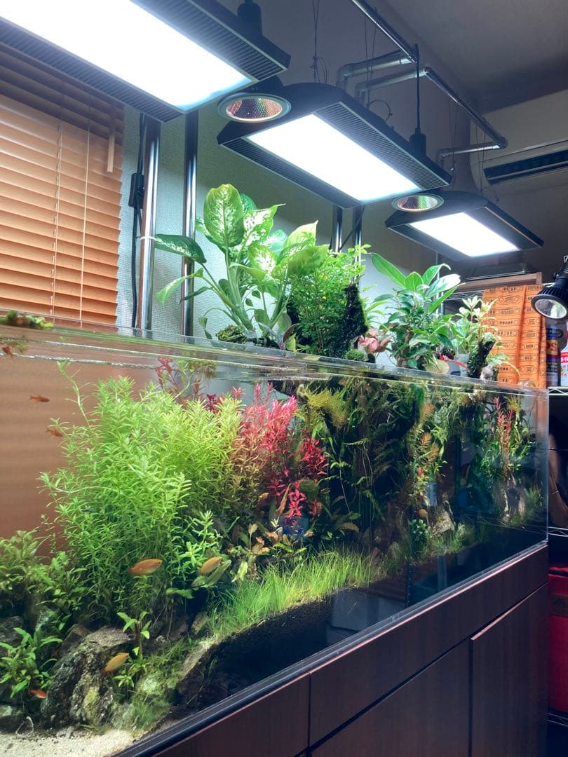 ひわ　大型アクリル水槽 横1800x高さ450x奥行き300mm 水槽のみ