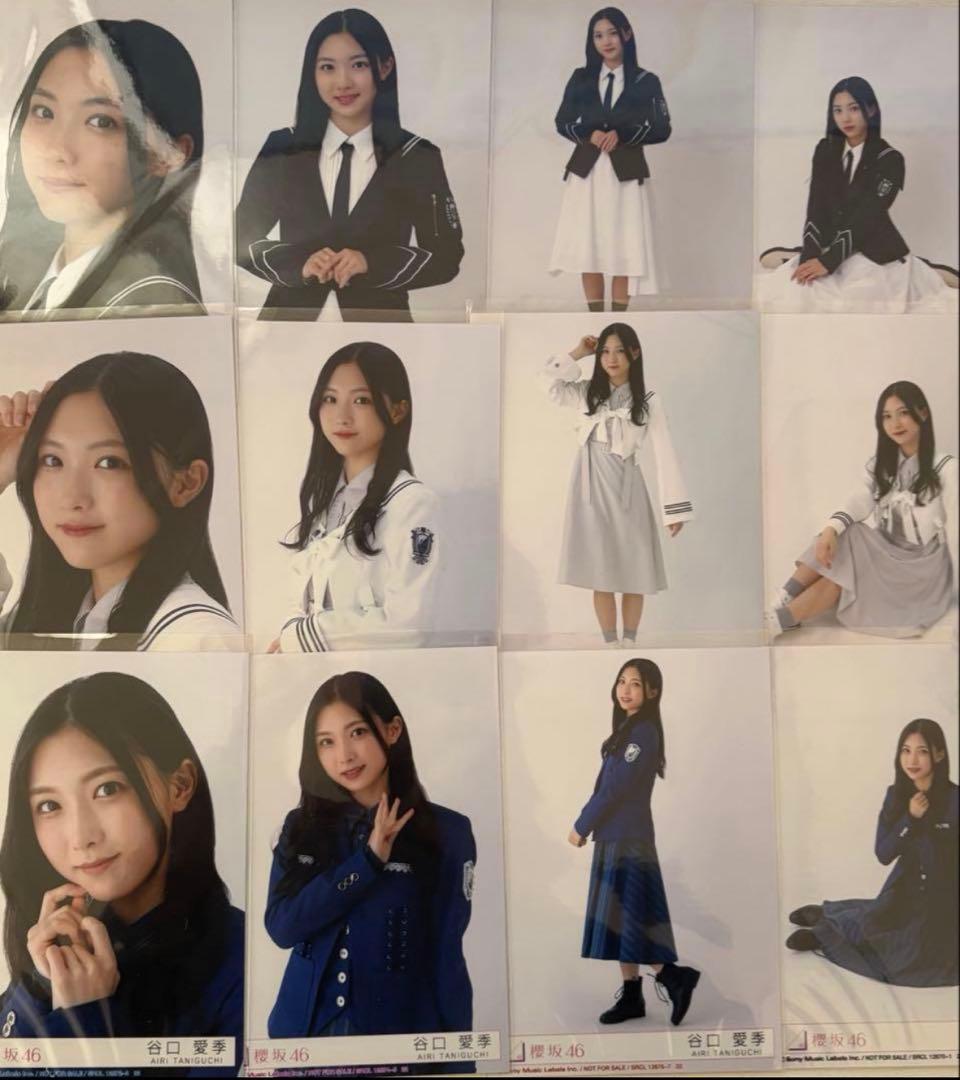 谷口愛季　24コンプまとめ売り