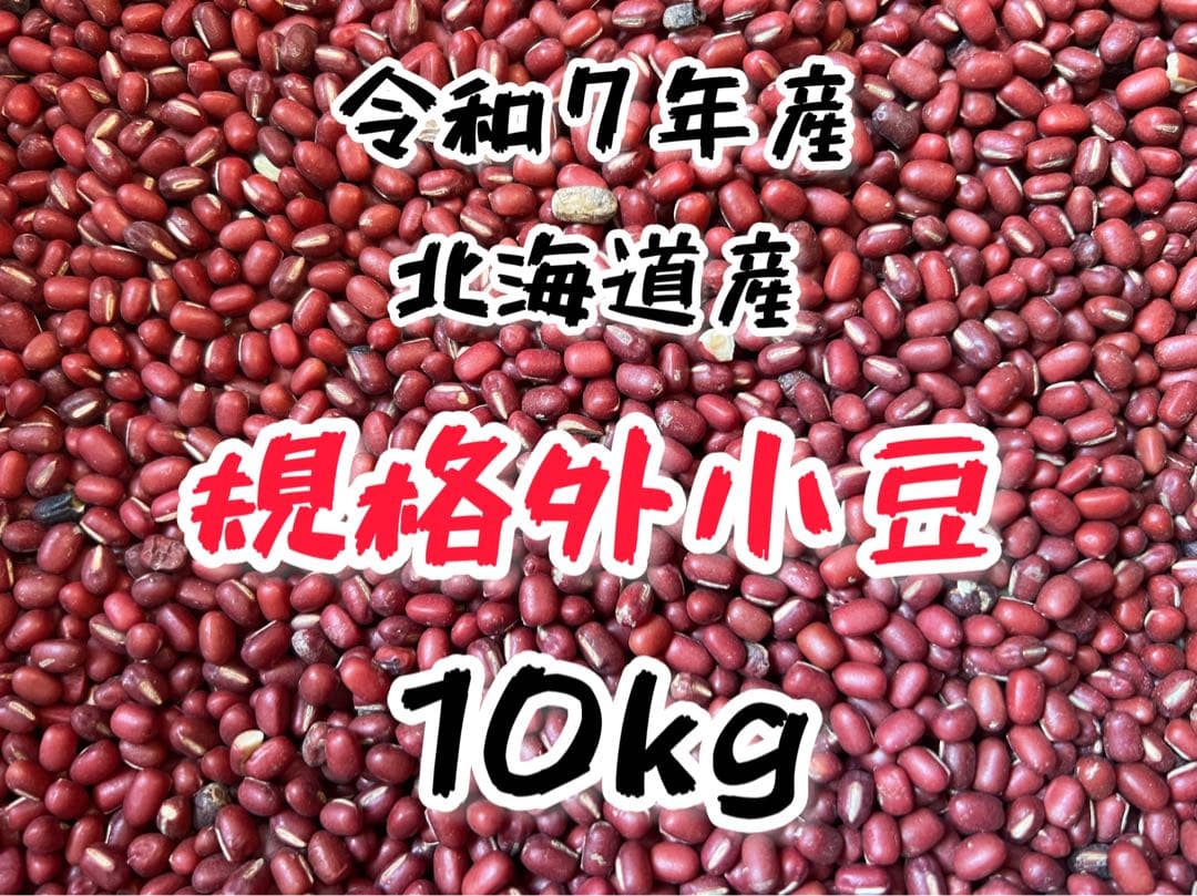 【規格外】 令和7年産 北海道産 小豆 えりも167 10kg 新豆