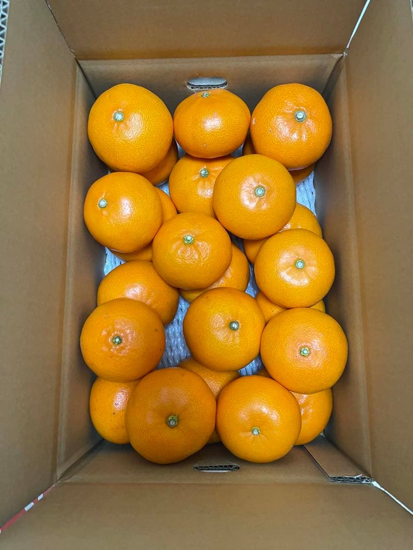 甘平・せとか(5kgx2箱)食べ比べセット⚠ご家庭用