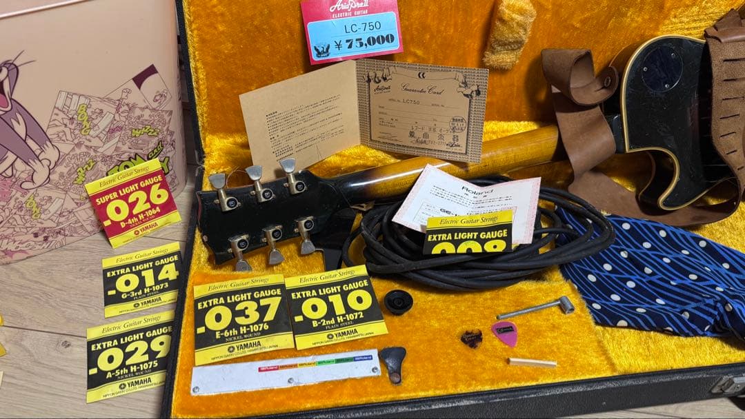 ギター Kevin Hochbaum