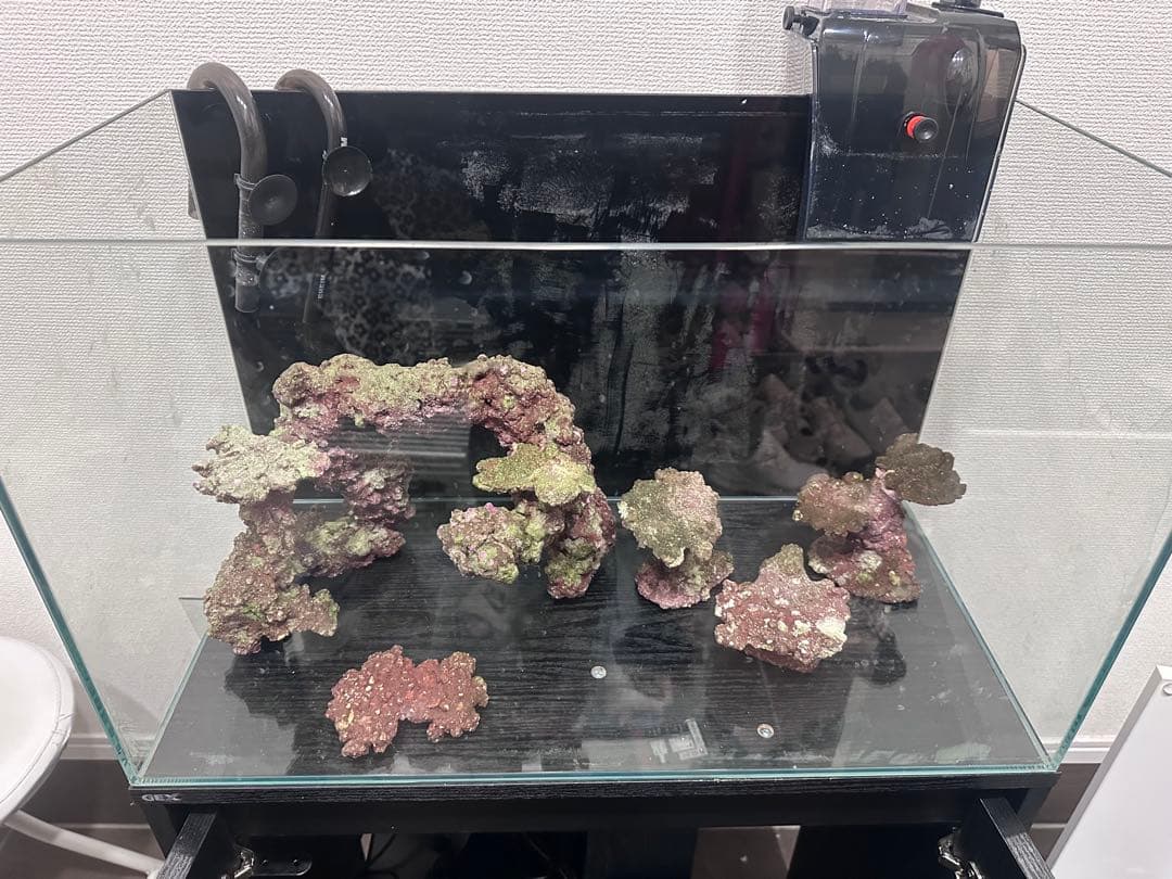 <海水魚・サンゴ即飼育>60cmガラス水槽　セット売り