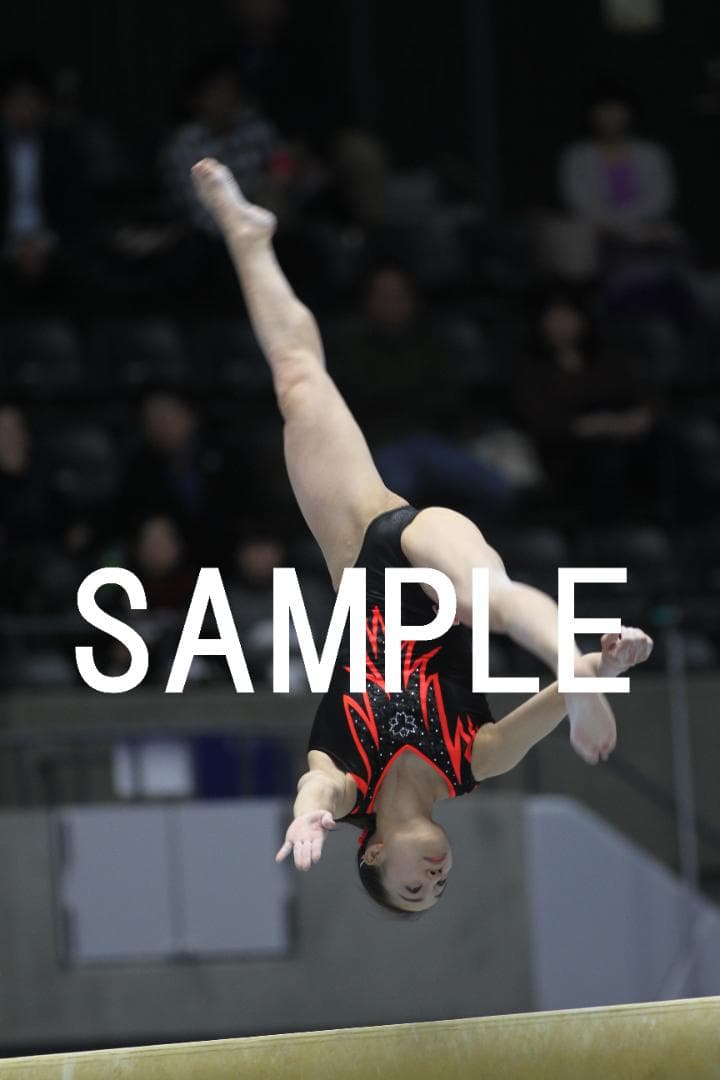 2017年全日本団体体操　日本女子体操画像集②　約9,000枚