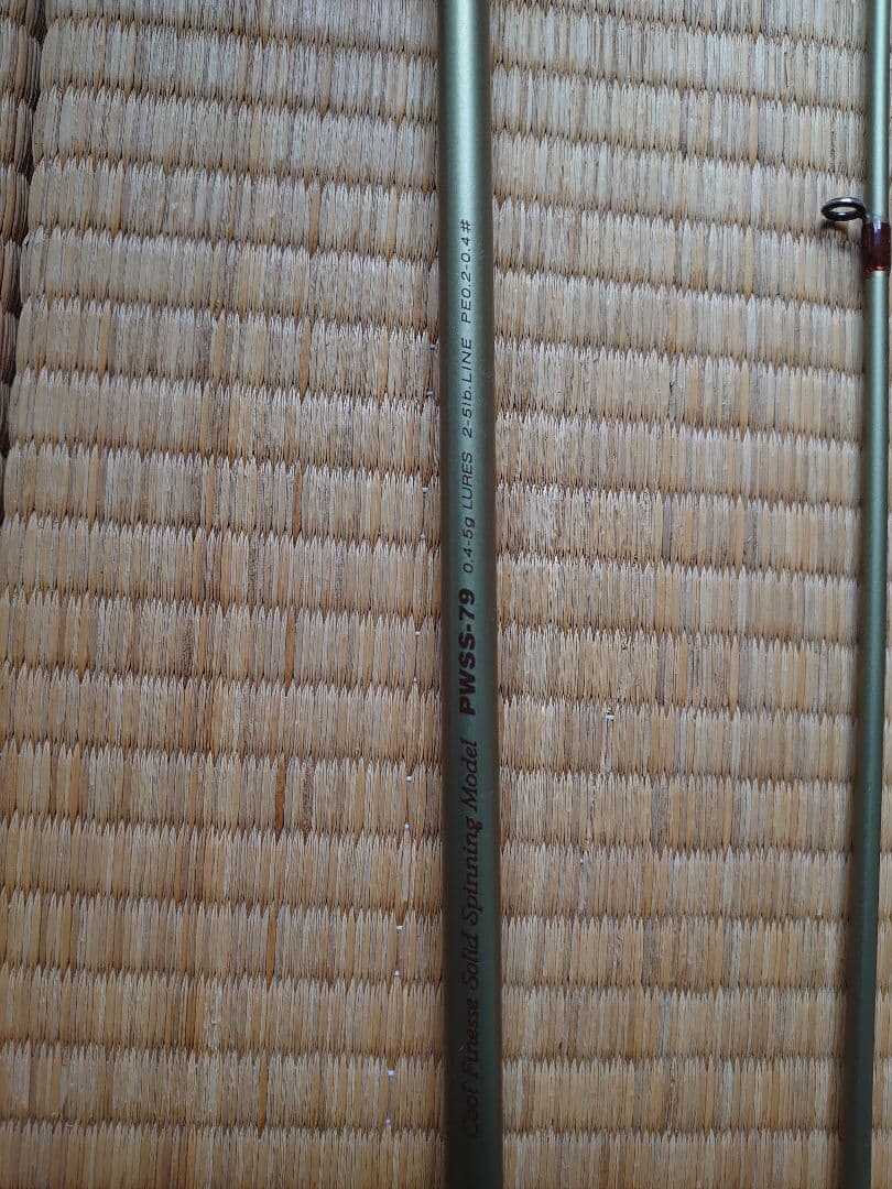 PALMS　ピンウィールPWSS79