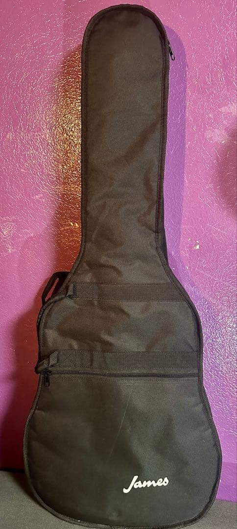 James J-300 D アコースティックギター