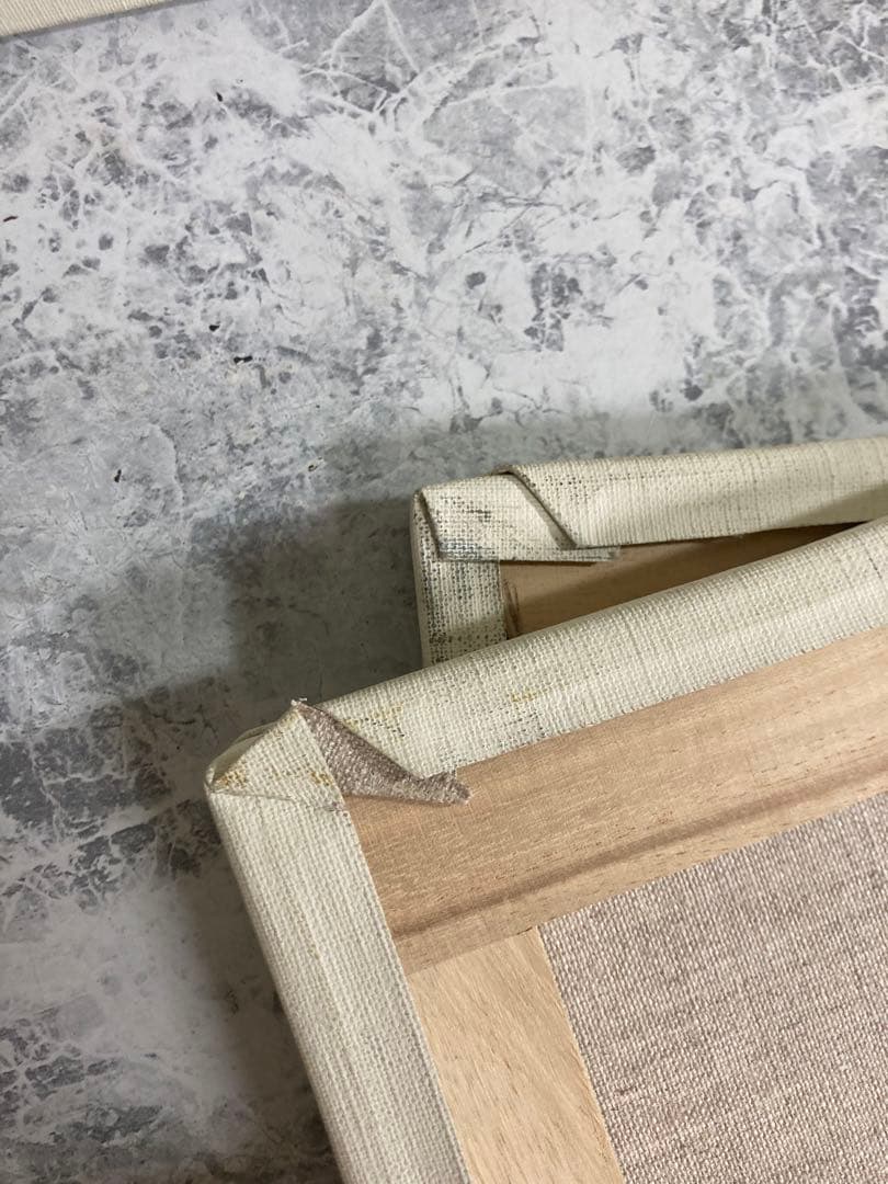 F10号キャンバス×4とF6号キャンバス×2のセット【キャンバス合計6つ】