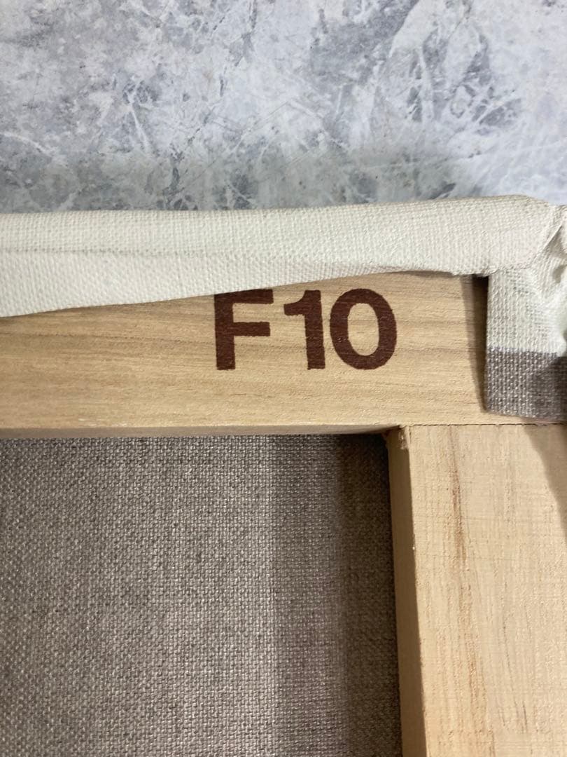 F10号キャンバス×4とF6号キャンバス×2のセット【キャンバス合計6つ】