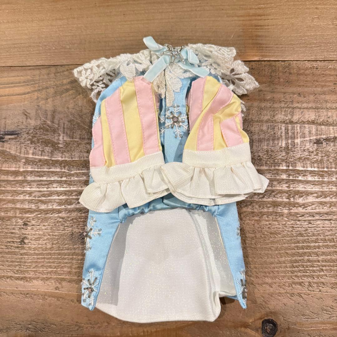 ペットアポルテ　パピリーヒルズ　周年コラボ