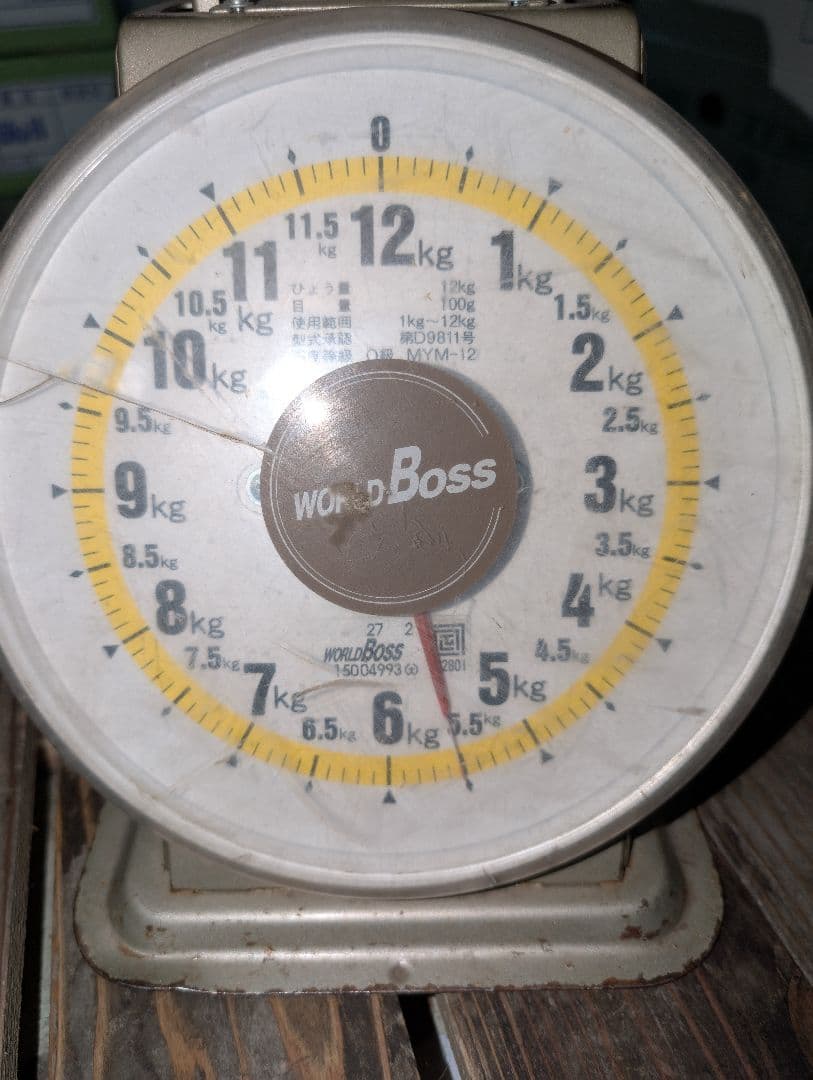 山梨県産ぶどう　シャインマスカット　12房入り箱込み約5.5kg