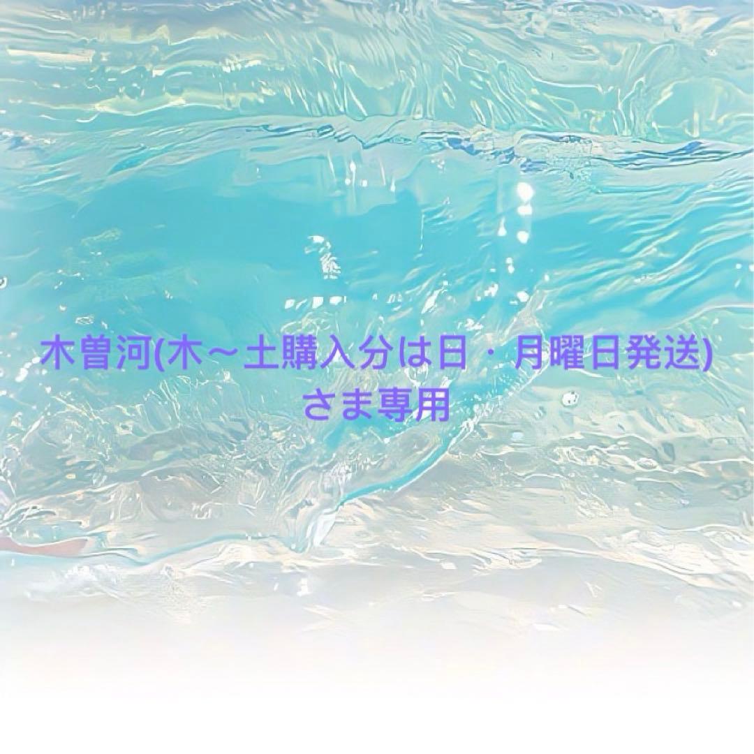木曽河(木〜土購入分は日・月曜日発送)さま専用