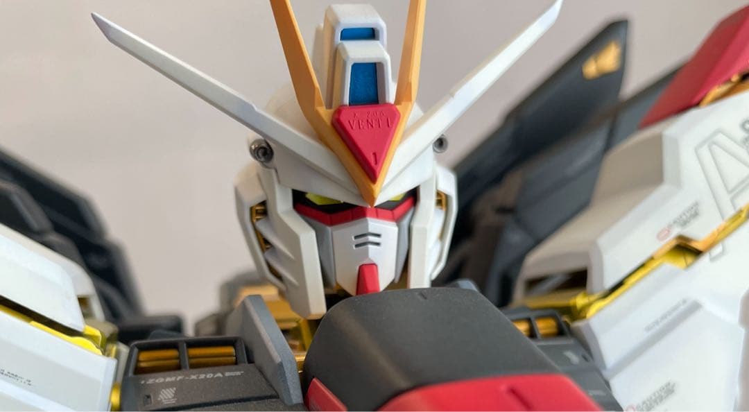 PG ストライクフリーダム ガンダム 塗装済完成品 1/60