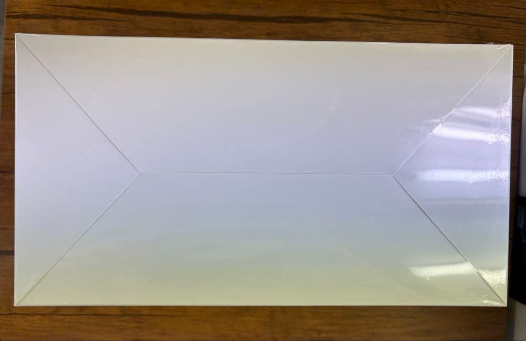 【未開封正規品】ラブブ アソートボックス Big into energy