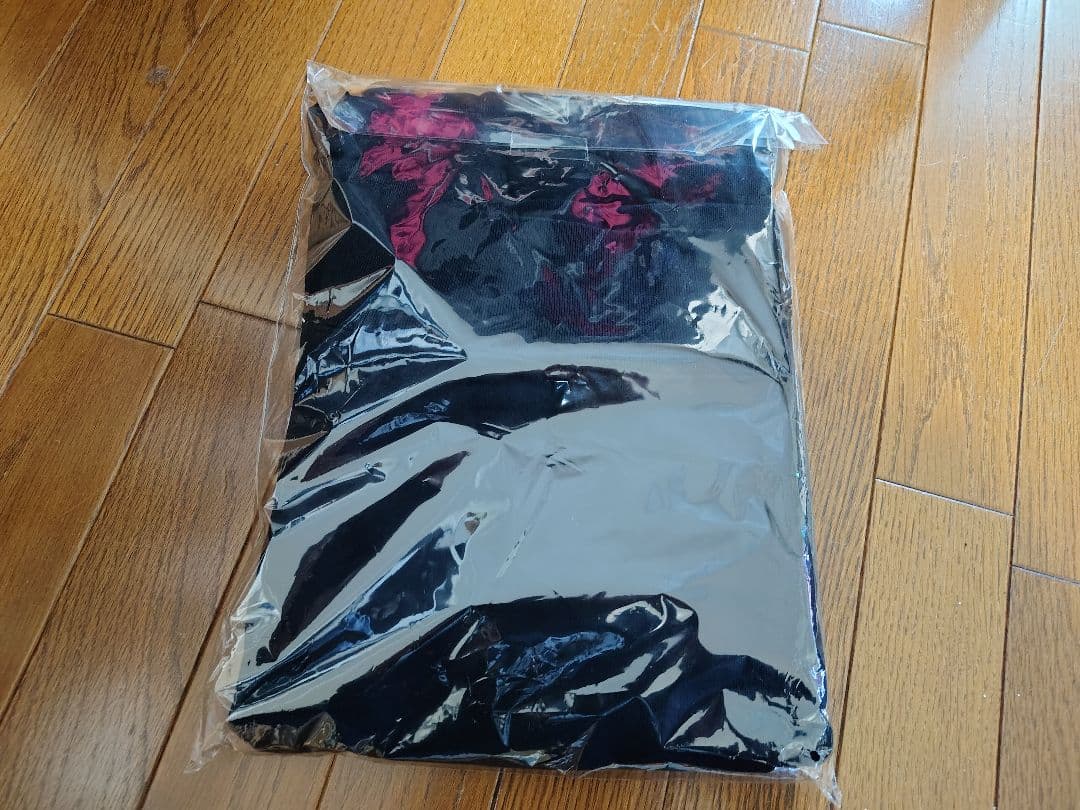 HI-STANDARD　ハイスタ　新品未開封YOPPI HOODIE　Mサイズ