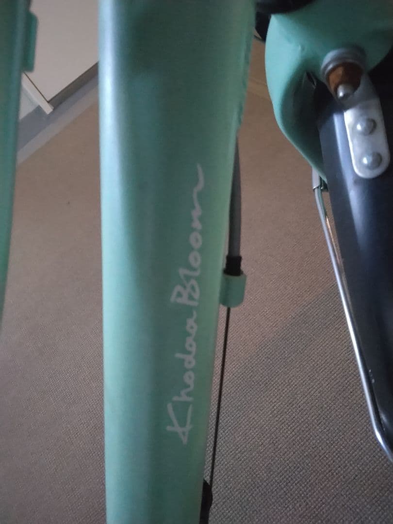 KhodaaBloomのasson jr22