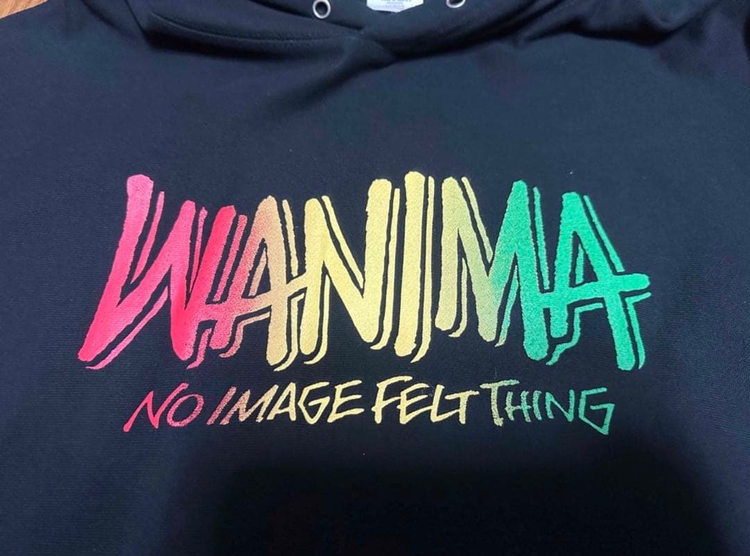 PIZZA OF DEATH ピザオブデス WANIMA パーカー L