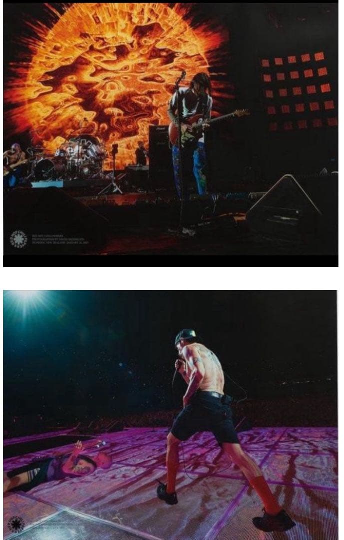 UNDER R 写真展 レッチリ ポスター ロンハーマン