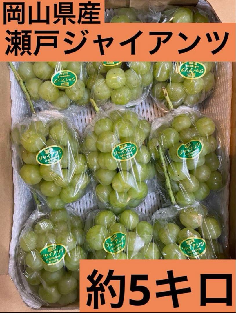 ②【岡山県産】瀬戸ジャイアンツ　7〜12房　約5キロ